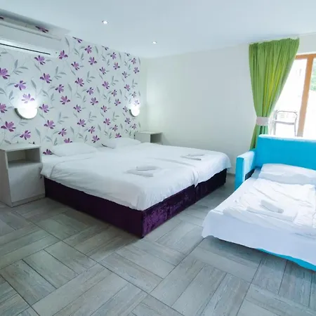 Elinor Complex Hotel 2*